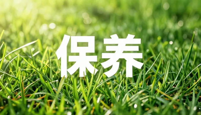 技术驱动下软件服务的业务发展趋势分析